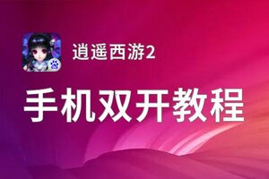 逍遥西游2挂机软件&双开软件推荐  轻松搞定逍遥西游2双开和挂机