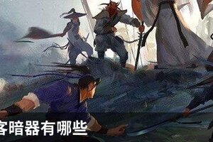  我的侠客暗器有哪些