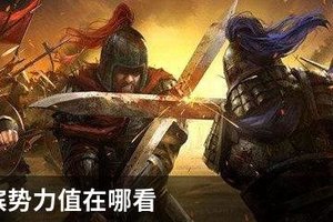 率土之滨势力值在哪看