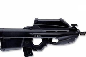 武器之灰熊介绍