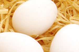 母鸡新年产蛋中蛋  奇葩世界的那些趣事
