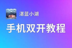 湛蓝小湖双开挂机软件推荐  怎么双开湛蓝小湖详细图文教程