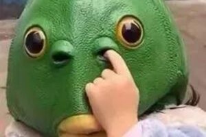 《古代战争》【新区公告】天启-天使圣锋（安卓IOS混服）来袭！