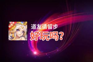 道友请留步好玩吗？道友请留步好不好玩评测