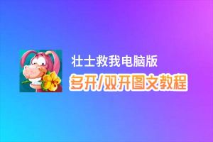 壮士救我怎么双开、多开？壮士救我双开助手工具下载安装教程