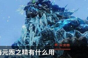 妄想山海元炁之精有什么用