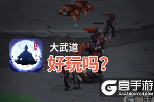 大武道好玩吗？大武道好不好玩评测