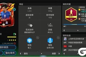 《FC足球世界》中国的哈姆西克！申花中场徐浩阳