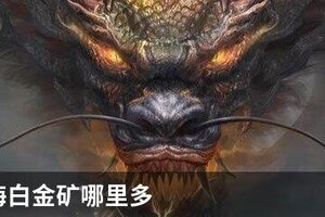 妄想山海白金矿哪里多