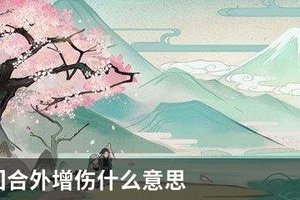 阴阳师回合外增伤什么意思