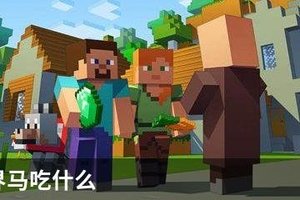 我的世界马吃什么