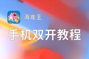 海龙王怎么双开  海龙王双开挂机软件推荐