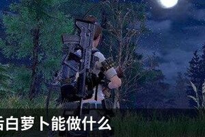 明日之后白萝卜能做什么