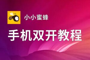 小小蜜蜂双开挂机软件推荐  怎么双开小小蜜蜂详细图文教程
