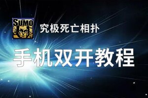 究极死亡相扑如何双开 2020最新双开神器来袭