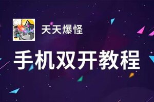 有没有天天爆怪双开软件推荐 深度解答如何双开天天爆怪