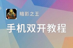 暗影之王双开软件推荐 全程免费福利来袭