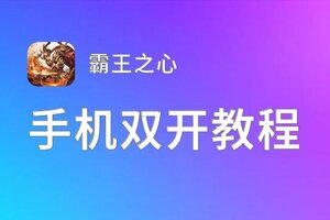 有没有霸王之心双开软件推荐 深度解答如何双开霸王之心