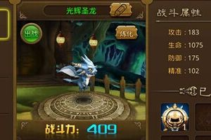 宠物系统介绍