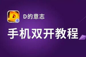 有没有D的意志双开软件推荐 深度解答如何双开D的意志