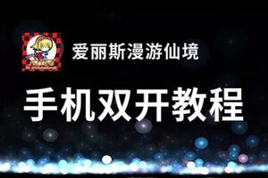 爱丽斯漫游仙境挂机软件&双开软件推荐  轻松搞定爱丽斯漫游仙境双开和挂机