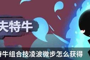 我功夫特牛组合技凌波微步怎么获得