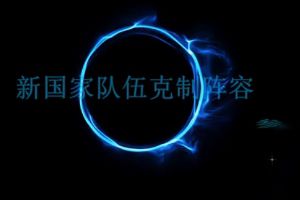 新版本国家队平民克制阵容视频攻略