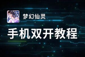 梦幻仙灵怎么双开  梦幻仙灵双开挂机软件推荐