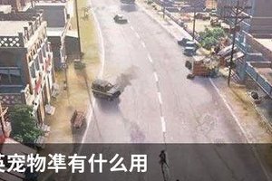 和平精英宠物凖有什么用