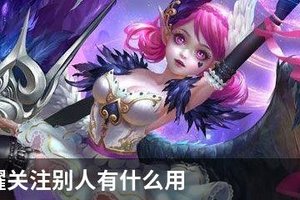 王者荣耀关注别人有什么用