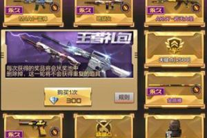 枪战王者抽奖技巧 王者礼包如何抽到好装备