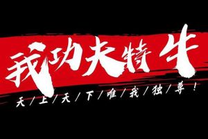我功夫特牛屠龙刀有什么用