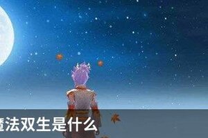 创造与魔法双生是什么