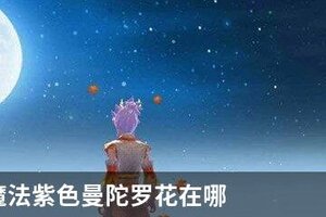 创造与魔法紫色曼陀罗花在哪