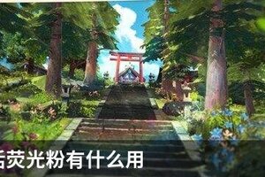 小森生活荧光粉有什么用