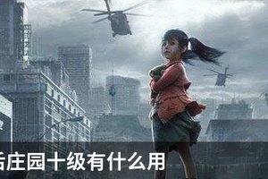 明日之后庄园十级有什么用
