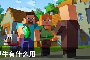 我的世界牛有什么用