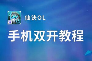 仙诀OL怎么双开  仙诀OL双开挂机软件推荐