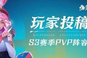 《荒野国度》阵容推荐：三域争锋、战火重燃PVP阵容推荐