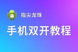 有没有指尖龙珠双开软件推荐 深度解答如何双开指尖龙珠