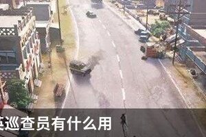 和平精英巡查员有什么用