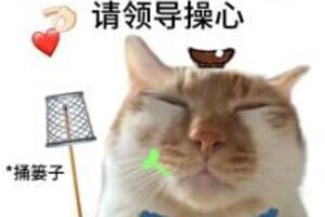 《山海幻境》【邮件问题处理方案】实习生小手一抖，全服补偿就水灵灵的到位了