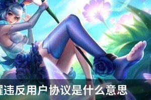 王者荣耀违反用户协议是什么意思