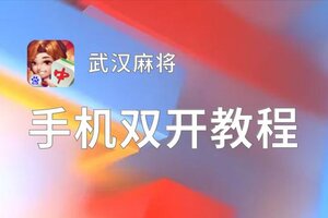 武汉麻将双开软件推荐 全程免费福利来袭