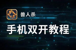 兽人杀双开神器 轻松一键搞定兽人杀挂机双开