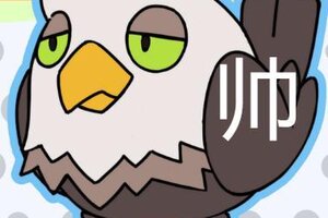 《口袋新旅途》【捕捉攻略】今天抓飞行系幻兽—颓颓鹰