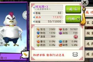 草原名鸡两三事！八一八时光鸡到底有多强？