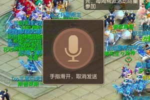 引入独特语聊系统