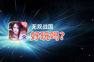 无双战国好玩吗？无双战国好不好玩评测