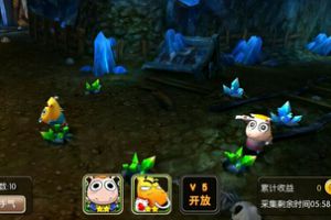 生活技能介绍